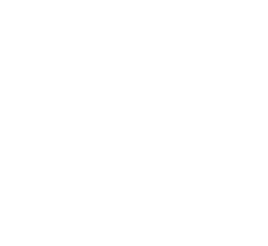 ezus-lyon-light300 EZUS Lyon_Logo_EZUS_light300