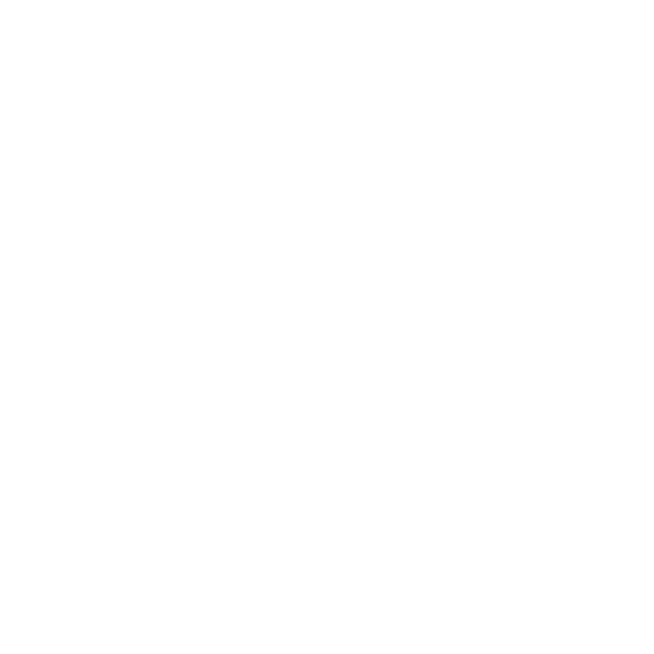 logo-cir-blanc EZUS Lyon_Logo_CIR_Blanc